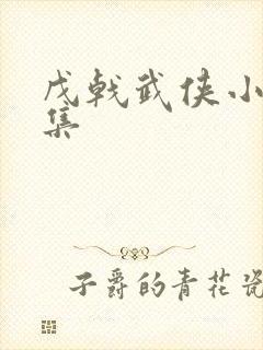 戊戟武侠小说全集