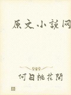 原文小说网