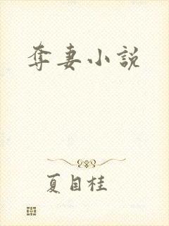 夺妻小说