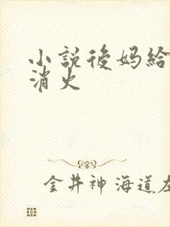 小说后妈给我消消火