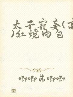 太子宠妾(高肉)红烧肉包