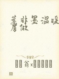 叶非墨温暖在厨房做