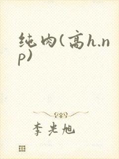 纯肉(高h.np)