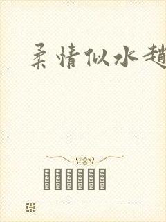 柔情似水赵雅儿