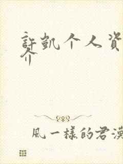 许凯个人资料简介