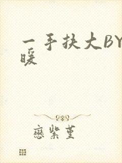 一手扶大BY泱暖