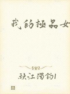 我的极品女友们