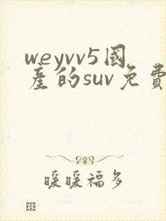 weyvv5国产的suv免费
