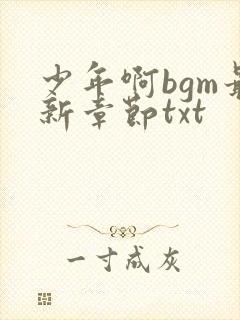 少年啊bgm最新章节txt