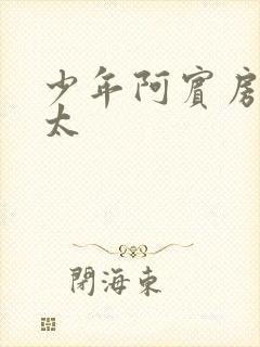 少年阿宾房东太太