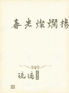 春光灿烂杨家将