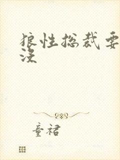 狼性总裁要够了没