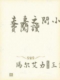 夫妻之间小说免费阅读