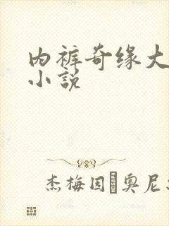 内裤奇缘大团结小说