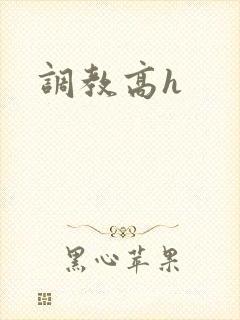 调教高h