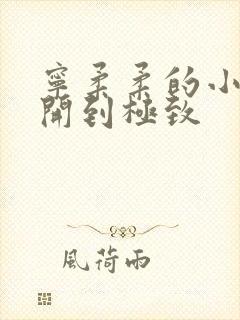 宁柔柔的小泬撑开到极致