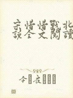 宋惜惜战北望小说全文阅读