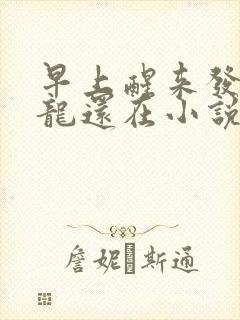 早上醒来发现巨龙还在小说