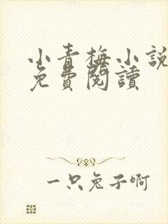 小青梅小说全文免费阅读