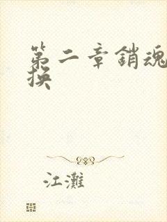 第二章销魂的交换