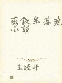 燕钗半落琥珀糖小说