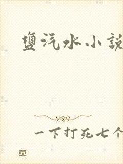 盐汽水小说封面