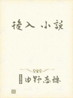 后入 小说