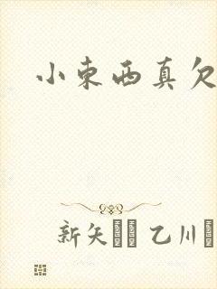 小东西真欠弄