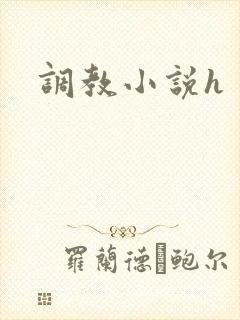 调教小说h