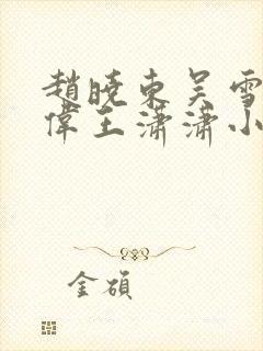 赵晓东吴雪晴郑伟王潇潇小说名字