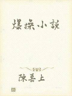 爆操小说
