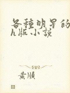 各种明星的综艺h版小说