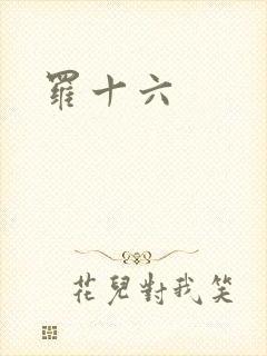 罗十六