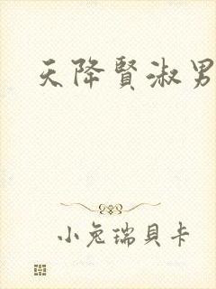 天降贤淑男小说