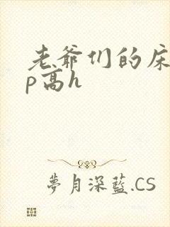 老爷们的床奴np高h