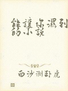 能让你湿到不行的小说