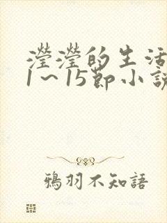 滢滢的生活日记1～15节小说
