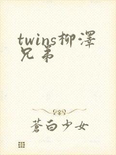 twins柳泽兄弟