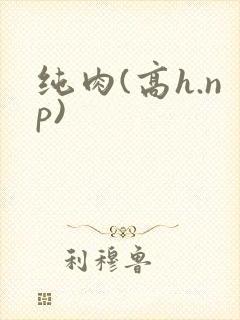 纯肉(高h.np)