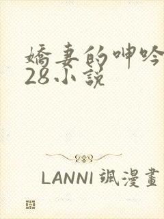 娇妻的呻吟1—28小说