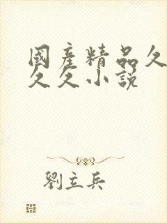 国产精品久久久久久小说