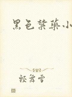 黑色禁药小说