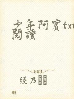 少年阿宾txt阅读