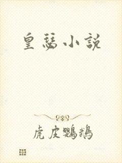 皇瑟小说