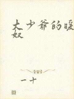 大少爷的暖床小奴