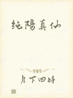 纯阳真仙