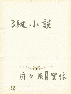 3级小说