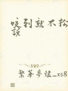 咬到就不松口小说