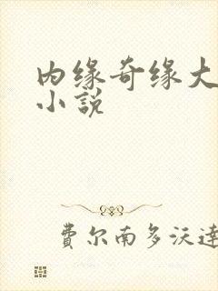 内缘奇缘大团圆小说