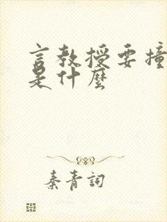 言教授要撞坏了是什么